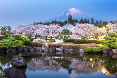 Fujinomiya, Shizuoka, Japan with Mt. Fuji and temples in spring  clipart