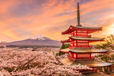 Fujiyoshida, Japonya Chureito Pagoda ve Mt. Fuji ilkbaharda