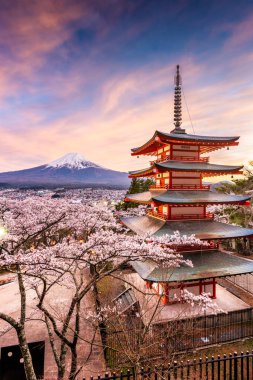Fujiyoshida, Japonya Chureito Pagoda ve Mt. Fuji ilkbaharda
