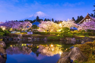 Fujinomiya, Shizuoka, Japan with Mt. Fuji and temples in spring  clipart