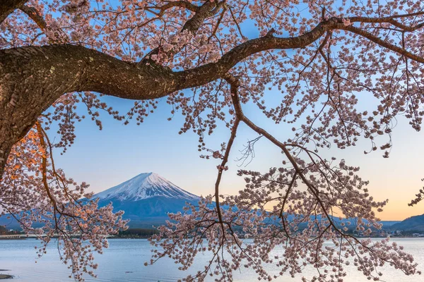 Lago Kawaguchi, Japão em Mt. Fuji. — Fotografia de Stock