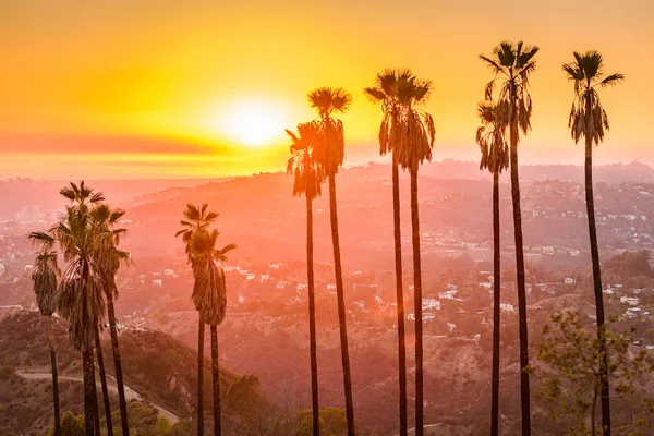 Griffith Parkı, Los Angeles, Kaliforniya, ABD — Stok fotoğraf