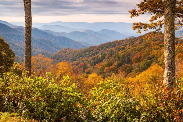 Park Narodowy Smoky Mountains, Tennessee jesienny krajobraz w New — Zdjęcie stockowe