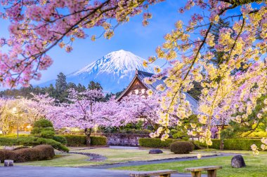 Fujinomiya, Shizuoka, Japonya ve Mt. Fuji 