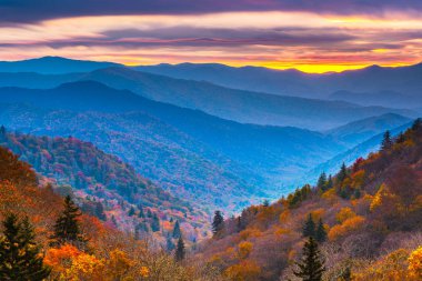 dumanlı dağları Milli Parkı, tennessee, ABD sonbahar manzara