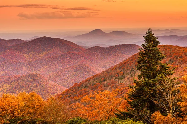 Brasstown Bald, Georgia, Usa view of Blue Ridge Mountains in aut — стокове фото