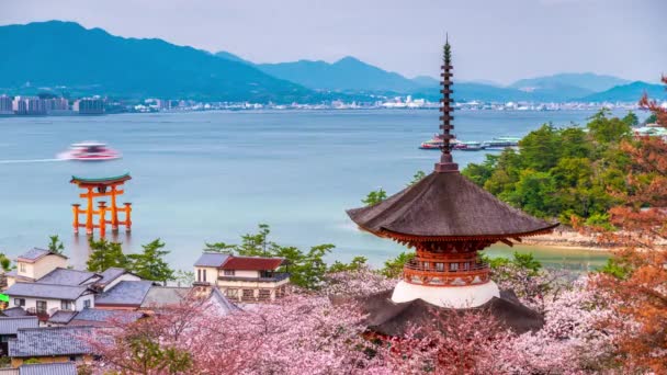 Isola Miyajima Hiroshima Giappone Primavera — Video Stock