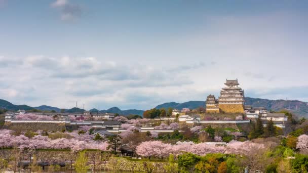 Himeji Japan Slottet Våren — Stockvideo