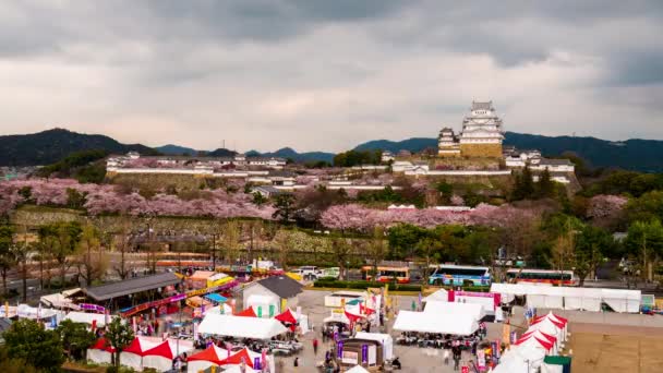 Himeji Japón Castillo Primavera — Vídeo de stock