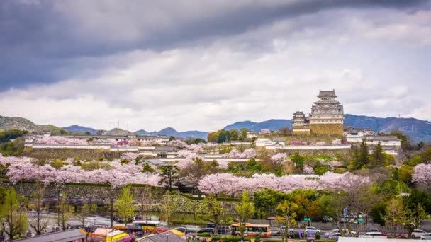 Himeji Japonsko Hrad Jaře — Stock video