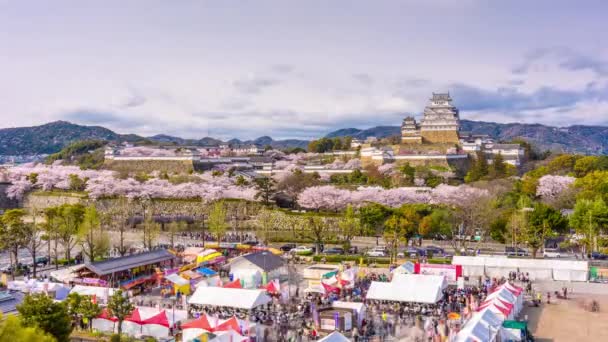 Himeji Japan Het Kasteel Het Voorjaar — Stockvideo