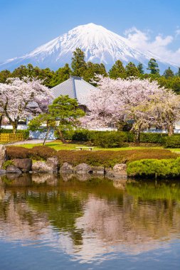 Shizuoka, Japonya Mt. Fuji bahar ile