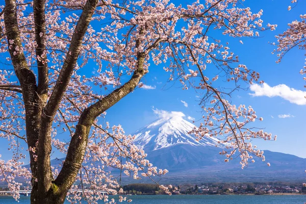 Mt. Fuji, Giappone sul lago Kawaguchi — Foto Stock