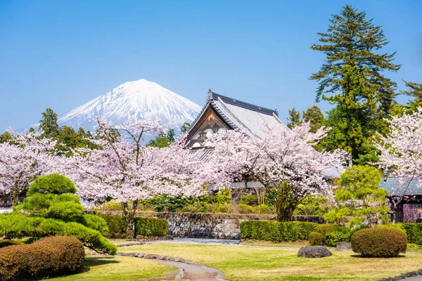Shizuoka, Japan med Mt. Fuji våren — Stockfoto