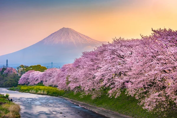 Mt. Fuji, Japan van de prefectuur Shizuoka in het voorjaar — Stockfoto