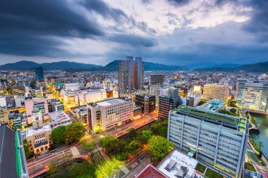 Shizuoka, Japan Skyline at Night