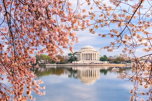 Washington, DC at the Tidal Basin and Jefferson Memorial — Stock Photo, Image