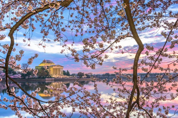 Washington, DC en la Cuenca de la Marea y Jefferson Memorial — Foto de Stock