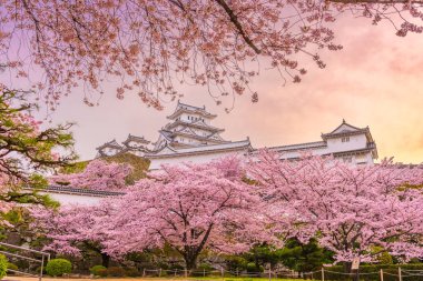 Nda bahar Himeji Kalesi Himeji, Japonya