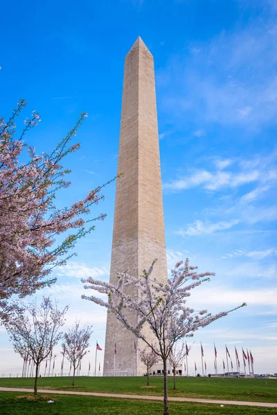 Washington Dc, Usa in het voorjaar — Stockfoto