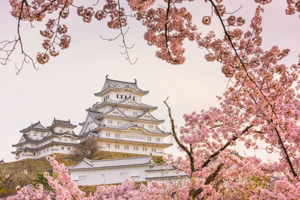 Himeji, japan auf der Burg himeji im Frühling — Stockfoto