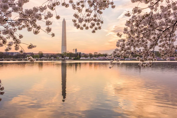 Washington DC, EUA na primavera — Fotografia de Stock