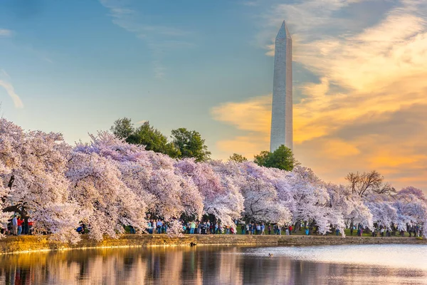 Вашингтон, округ Колумбия, США весной — стоковое фото