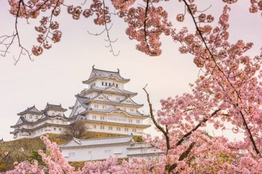 Nda bahar Himeji Kalesi Himeji, Japonya