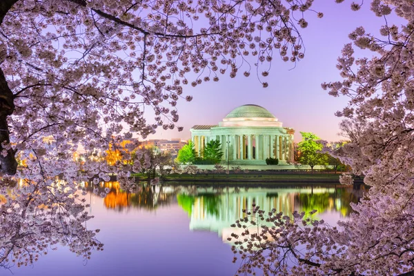 Вашингтон, Dc у приливних басейну та Jefferson Меморіал — стокове фото