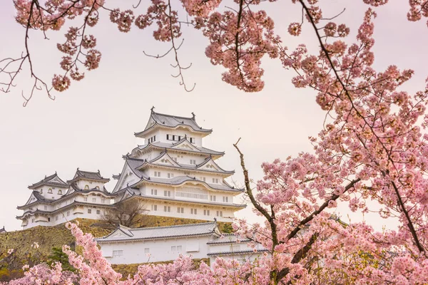 Himeji, Japón en el castillo de Himeji en primavera — Foto de Stock