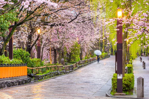 Гион Сиракава, Киото, Япония весной — стоковое фото