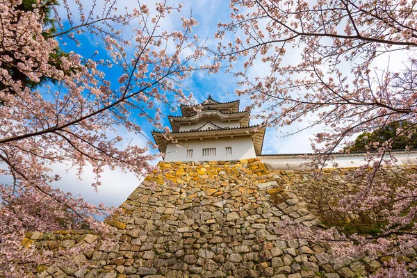 일본의 야시, 효고, 봄철 — 스톡 사진