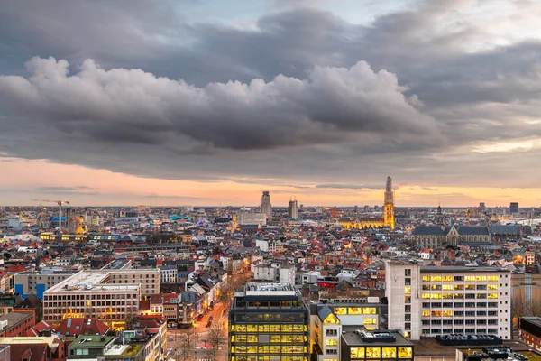 Antwerp Belçika Alacakaranlıkta Yukarıdan — Stok fotoğraf