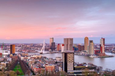 Rotterdam, Hollanda, alacakaranlıkta şehir silueti.