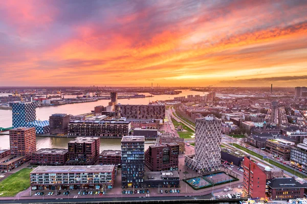 Rotterdam Netherlands City Skyline Twilight — Stock Photo, Image