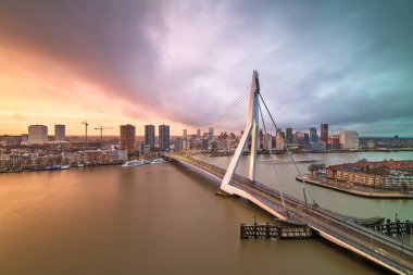 Rotterdam, Hollanda, alacakaranlıkta şehir silueti.