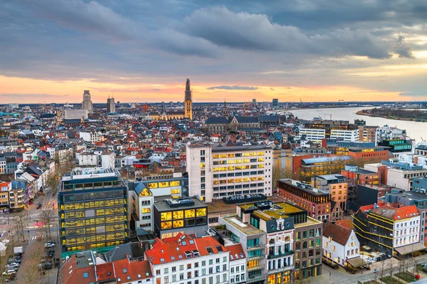 Antwerp Belçika Alacakaranlıkta Yukarıdan — Stok fotoğraf