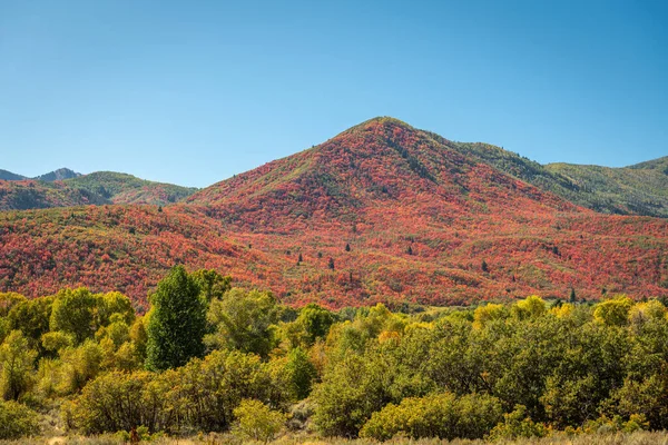 Park City Utah Usa Liści Wzdłuż Wasatch Jesienią — Zdjęcie stockowe