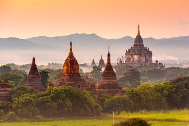 Bagan, Myanmar tapınakları alacakaranlıkta arkeolojik bölgede..