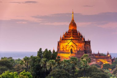 Bagan, Myanmar tapınakları alacakaranlıkta arkeolojik bölgede..