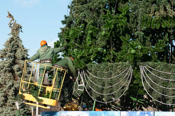 Dva dělníci, zdobení vánočního stromu — Stock fotografie