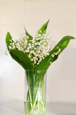 Lily vadi buket masanın üzerine saydam bir cam