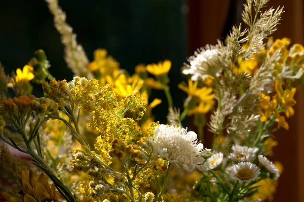 Bouquet of wild flowers backlit on the window — Stock Photo, Image