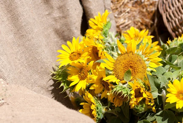 Flower bouquet sunflower on the background of burlap — Stock Photo, Image