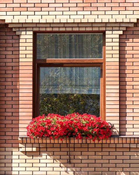 Ventana decorada con flores en una casa de ladrillo — Foto de Stock