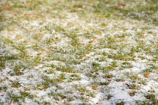 Achtergrond van sneeuw op groen gras, filter toepassen — Stockfoto