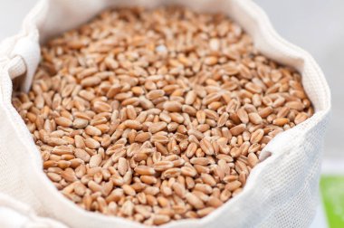 Beyaz bir çuvalın içinde soyulmuş organik mısır tahıl