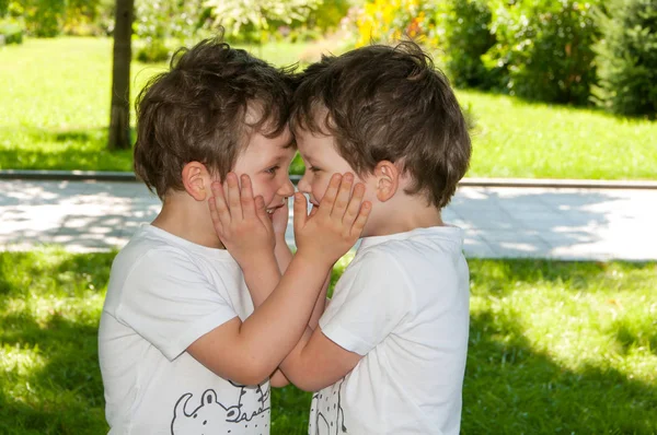 Tweelingen houden elkaars gezicht en lach, buiten in het park — Stockfoto