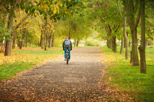 Mężczyzna jedzie na rowerze na Aleja — Zdjęcie stockowe