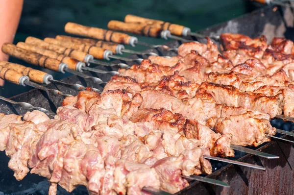 Pinchos de carne frita en una parrilla — Foto de Stock